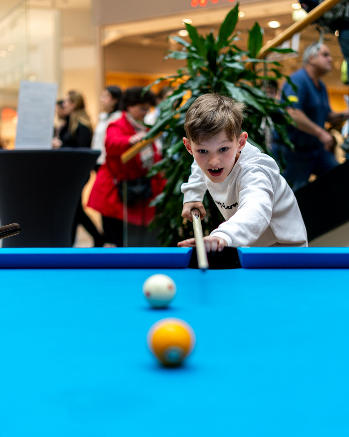 Bild_4_Pooltisch _ZIMBAPARK